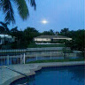 Meet your Posher, Robin